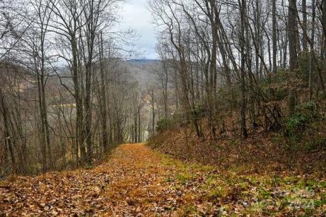 19 Flowing Hills Drive Clyde NC 28721