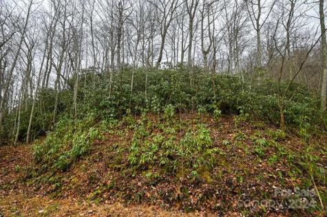 19 Flowing Hills Drive Clyde NC 28721