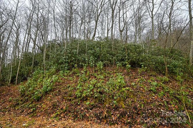 19 Flowing Hills Drive Clyde NC 28721
