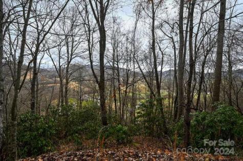 19 Flowing Hills Drive Clyde NC 28721