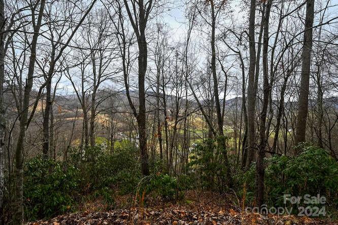 19 Flowing Hills Drive Clyde NC 28721