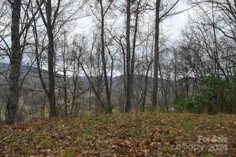 19 Flowing Hills Drive Clyde NC 28721