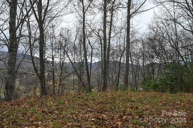 19 Flowing Hills Drive Clyde NC 28721
