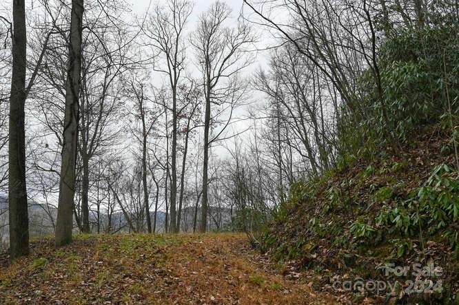19 Flowing Hills Drive Clyde NC 28721