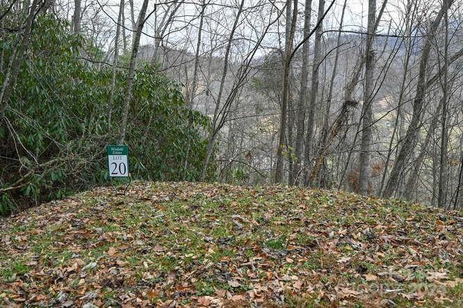 19 Flowing Hills Drive Clyde NC 28721