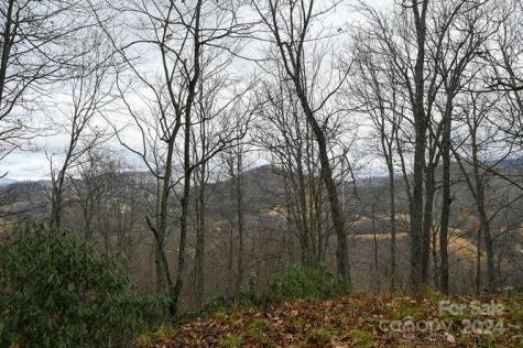 19 Flowing Hills Drive Clyde NC 28721