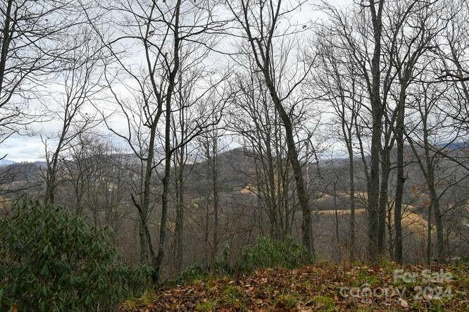 19 Flowing Hills Drive Clyde NC 28721