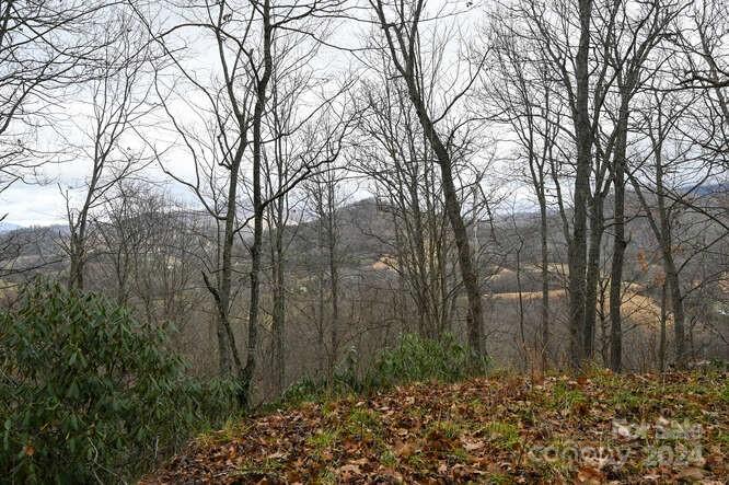 19 Flowing Hills Drive Clyde NC 28721