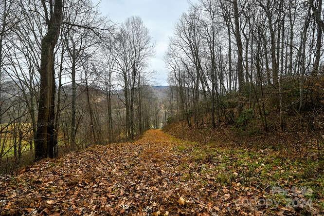 19 Flowing Hills Drive Clyde NC 28721