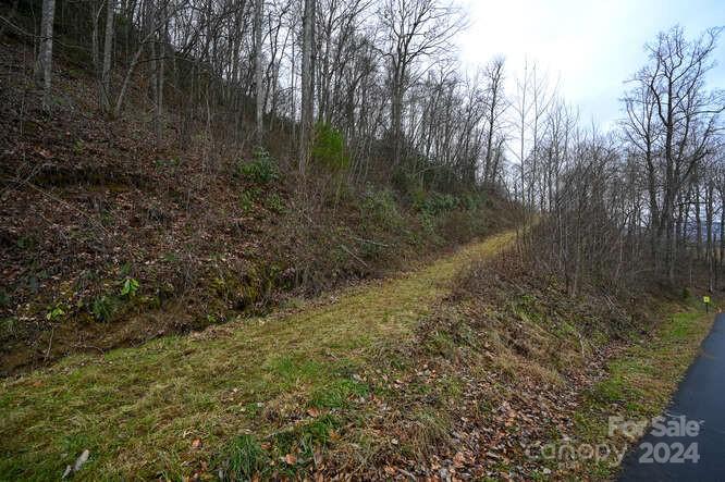 19 Flowing Hills Drive Clyde NC 28721