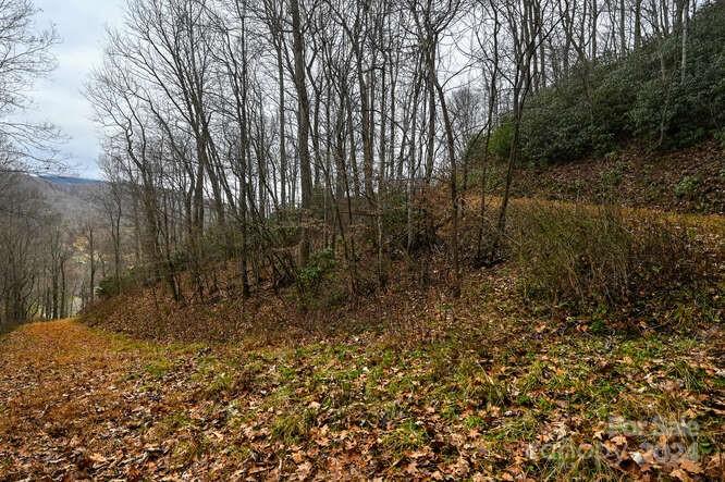 19 Flowing Hills Drive Clyde NC 28721