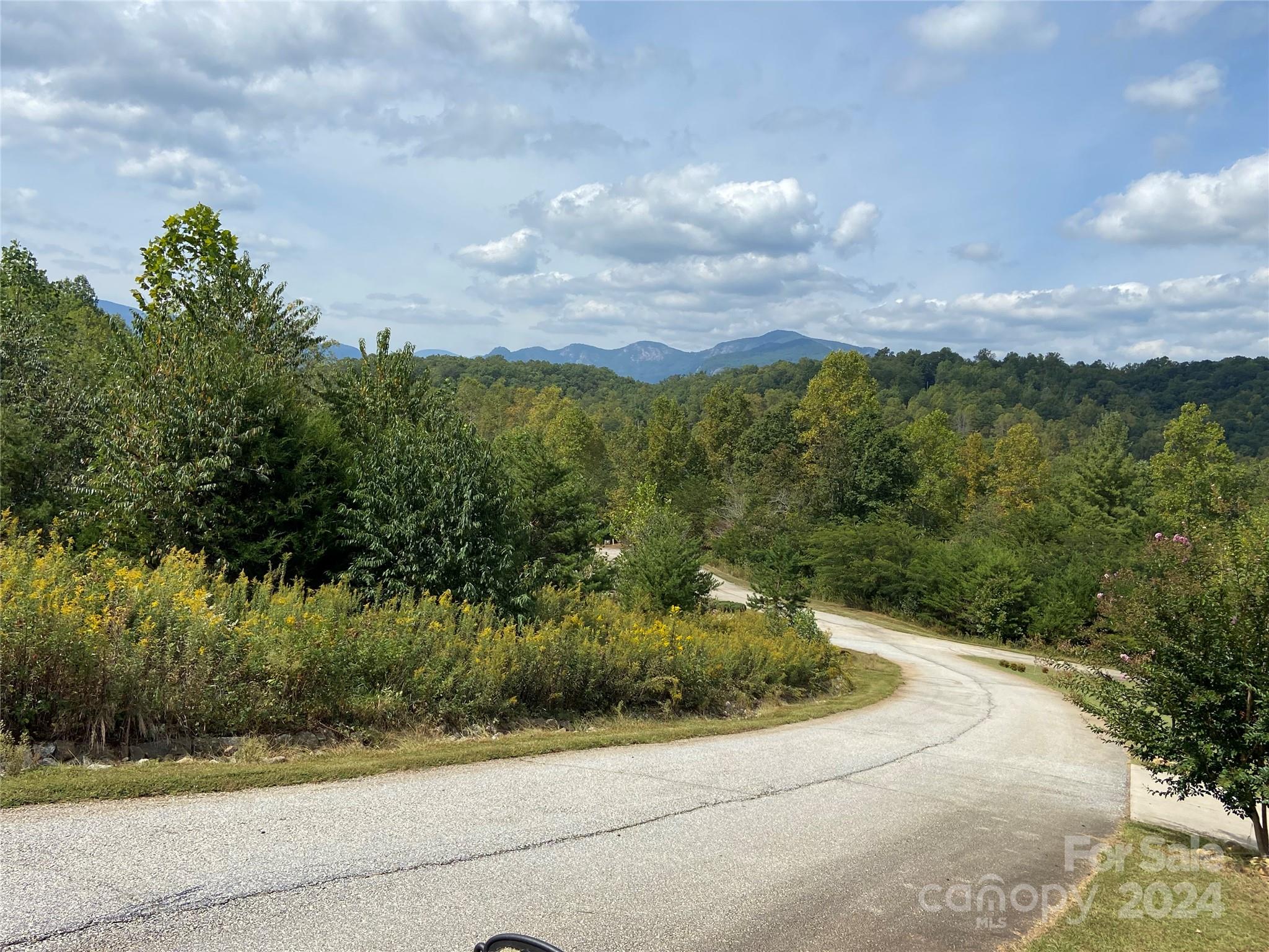 0 Willow Top Lane Lake Lure NC 28746