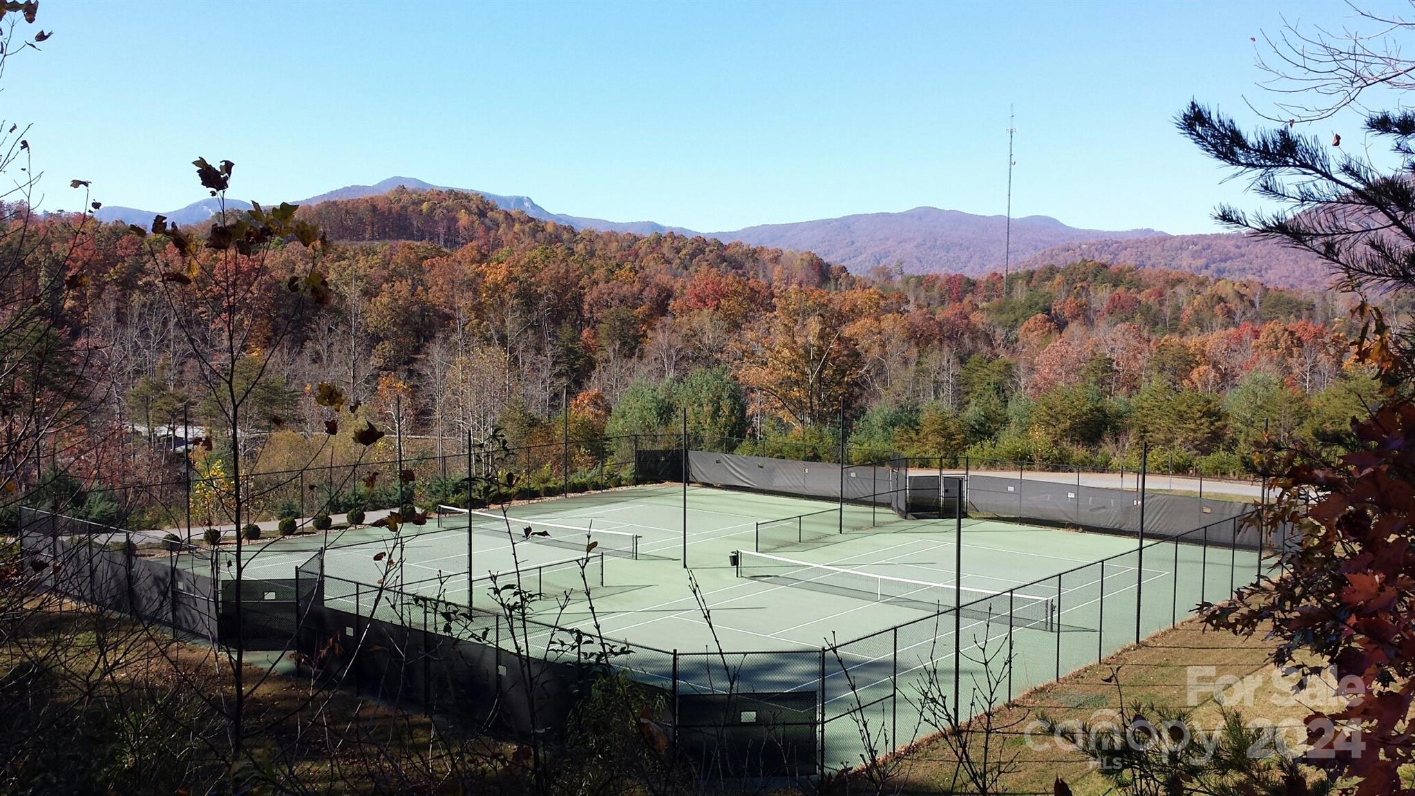 0 Willow Top Lane Lake Lure NC 28746