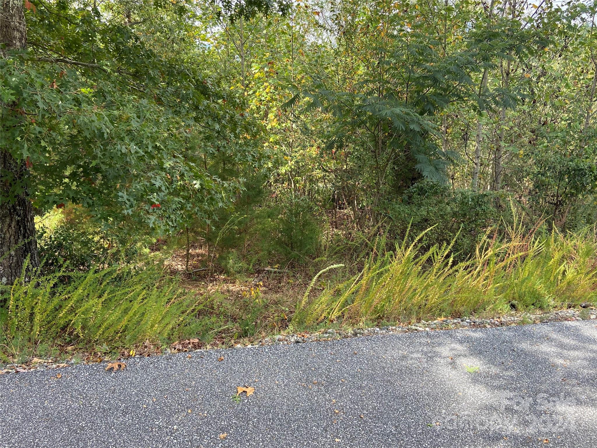 0 Willow Top Lane Lake Lure NC 28746
