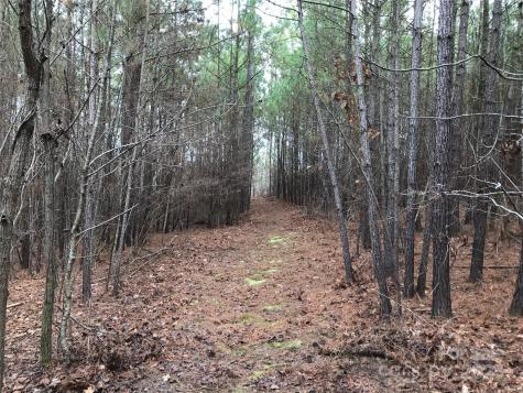 68 Lakeside Trail Lilesville NC 28170