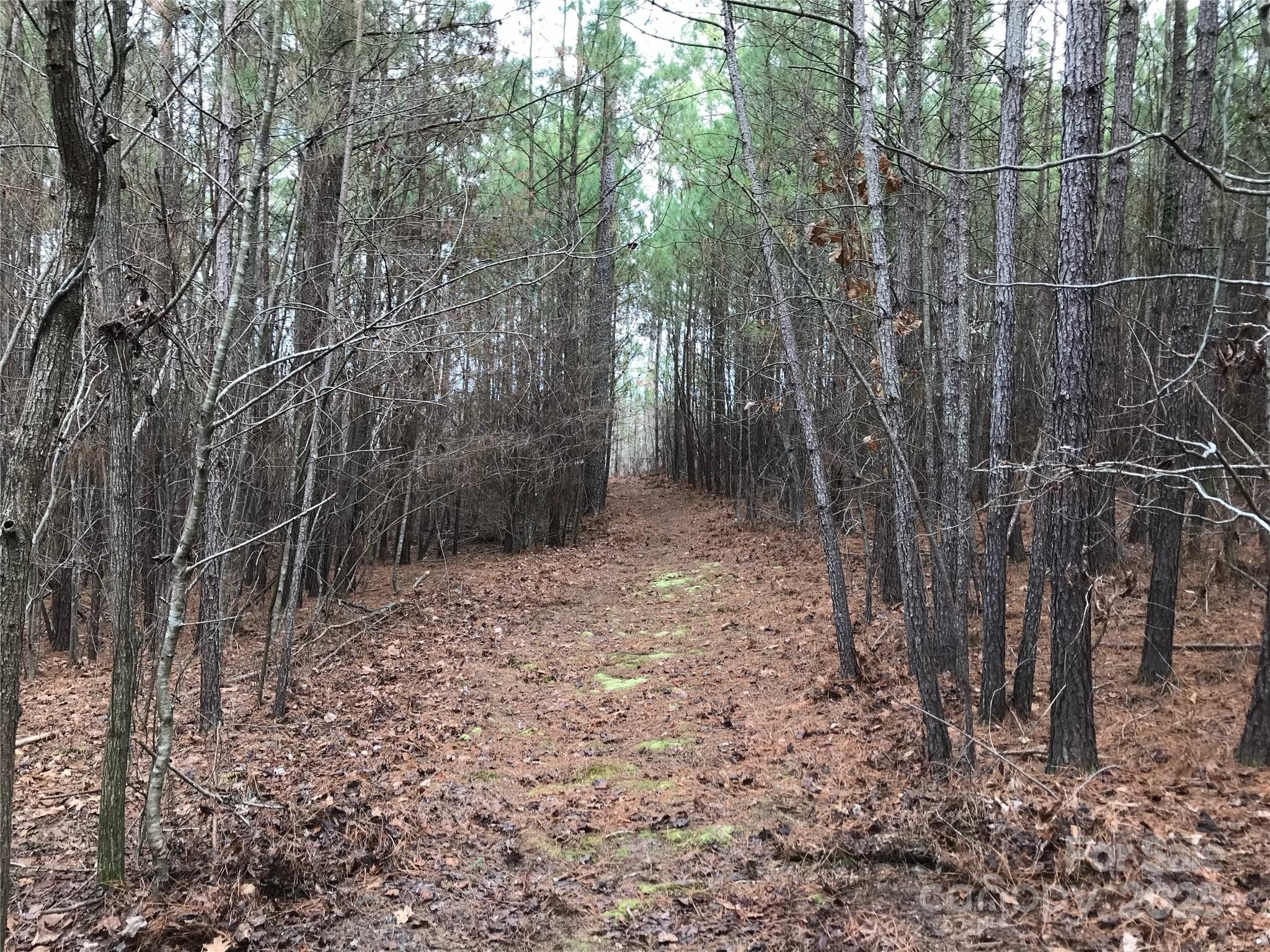 68 Lakeside Trail Lilesville NC 28170