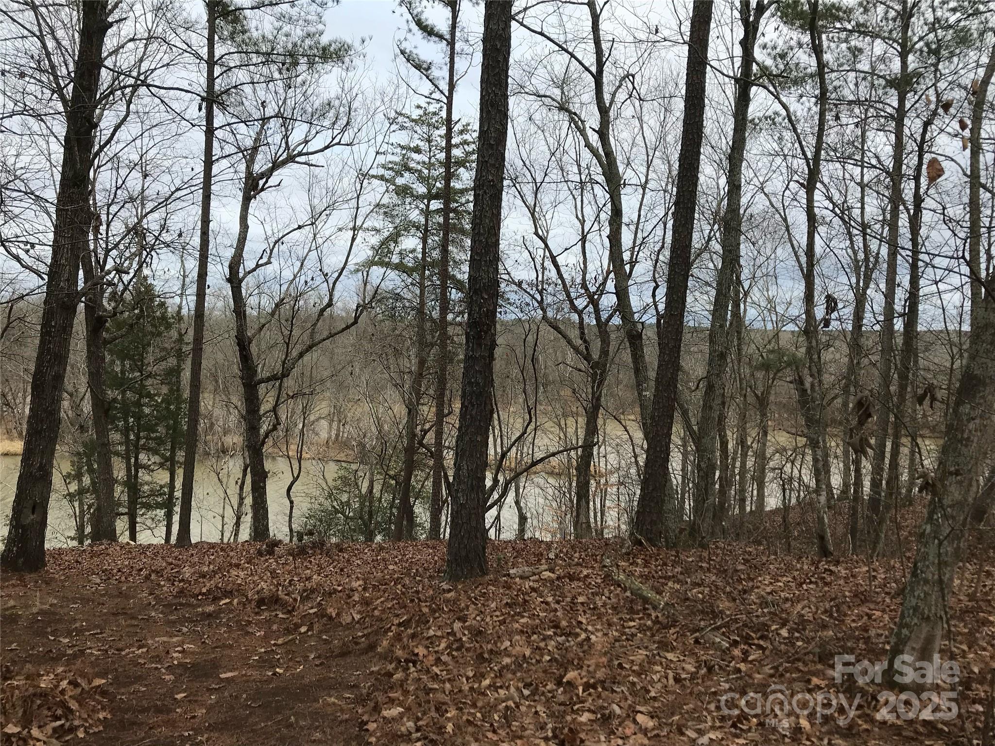 68 Lakeside Trail Lilesville NC 28170