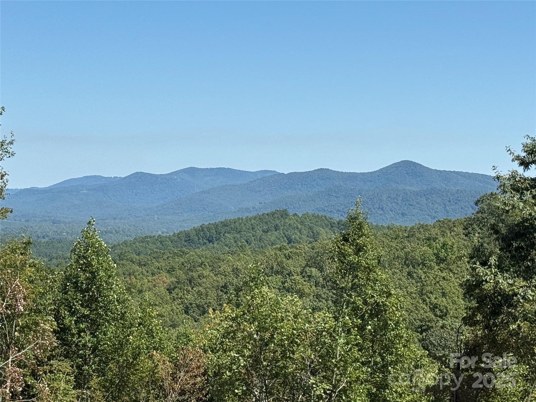 1187 Grandview Peaks Drive Nebo NC 28761