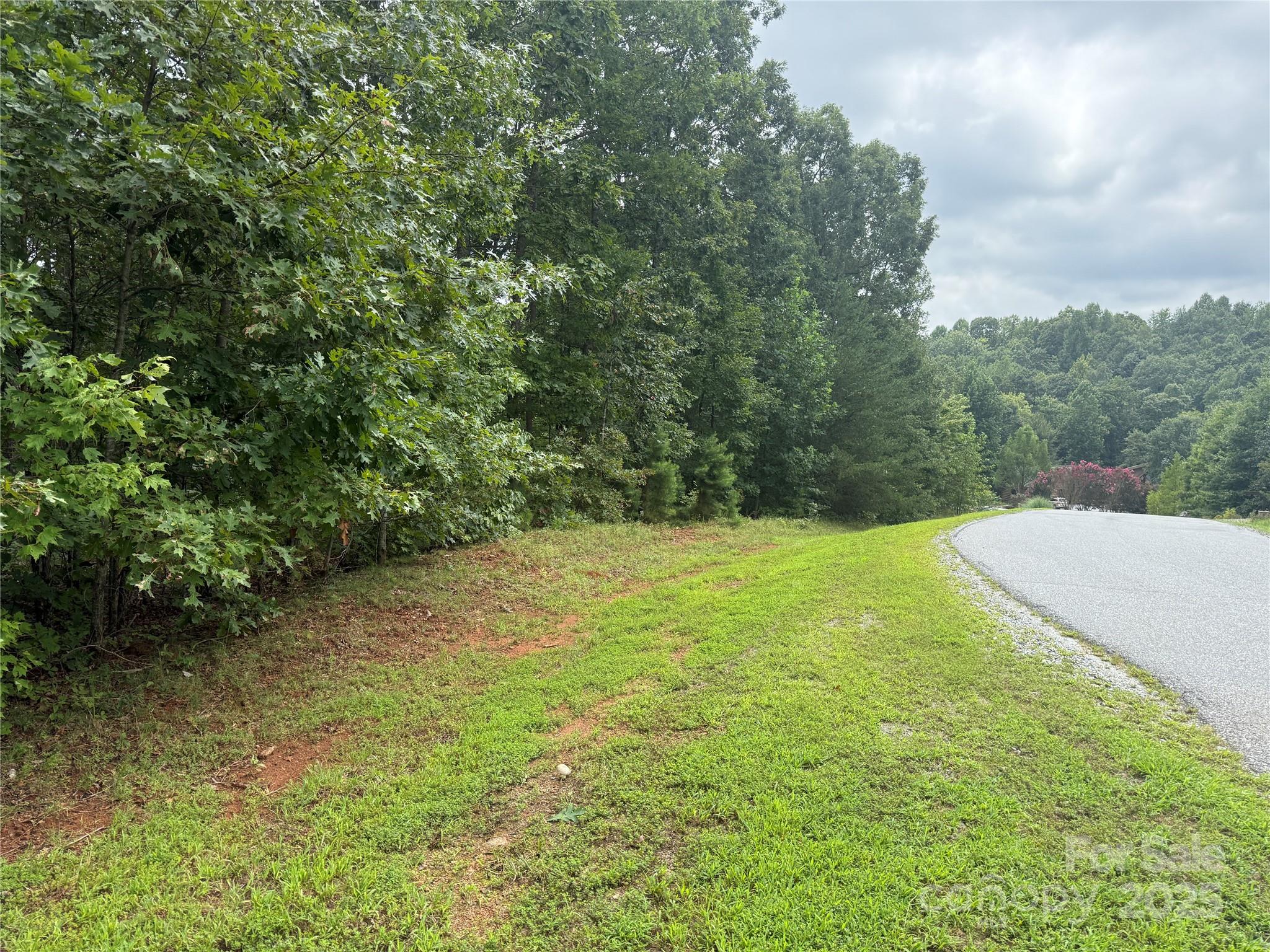 1187 Grandview Peaks Drive Nebo NC 28761