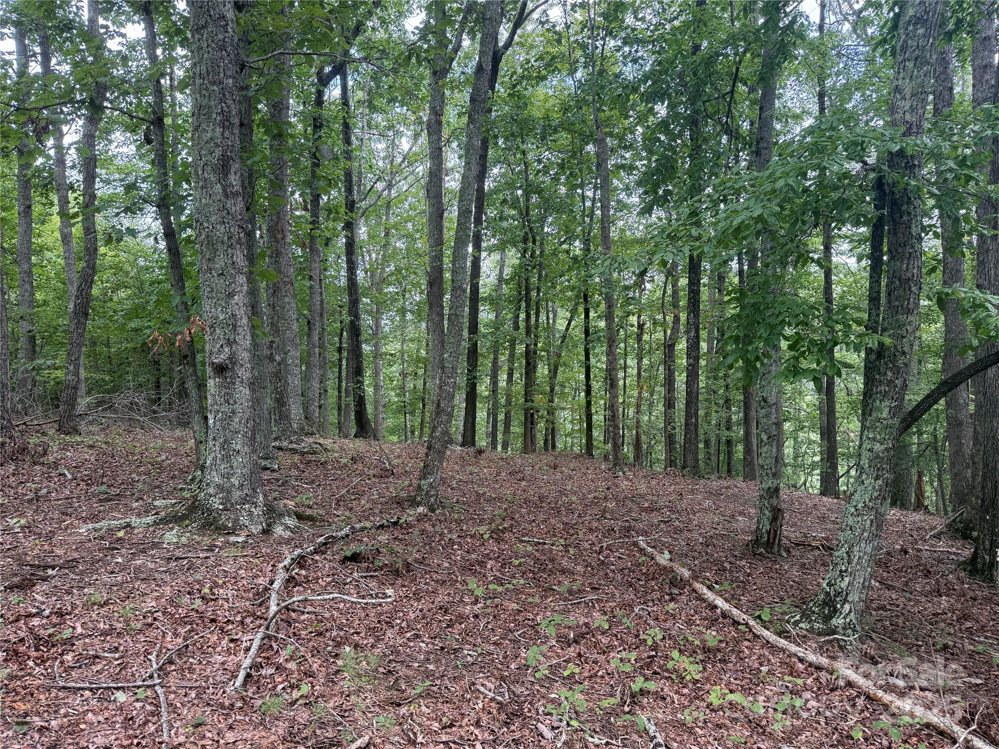 1187 Grandview Peaks Drive Nebo NC 28761