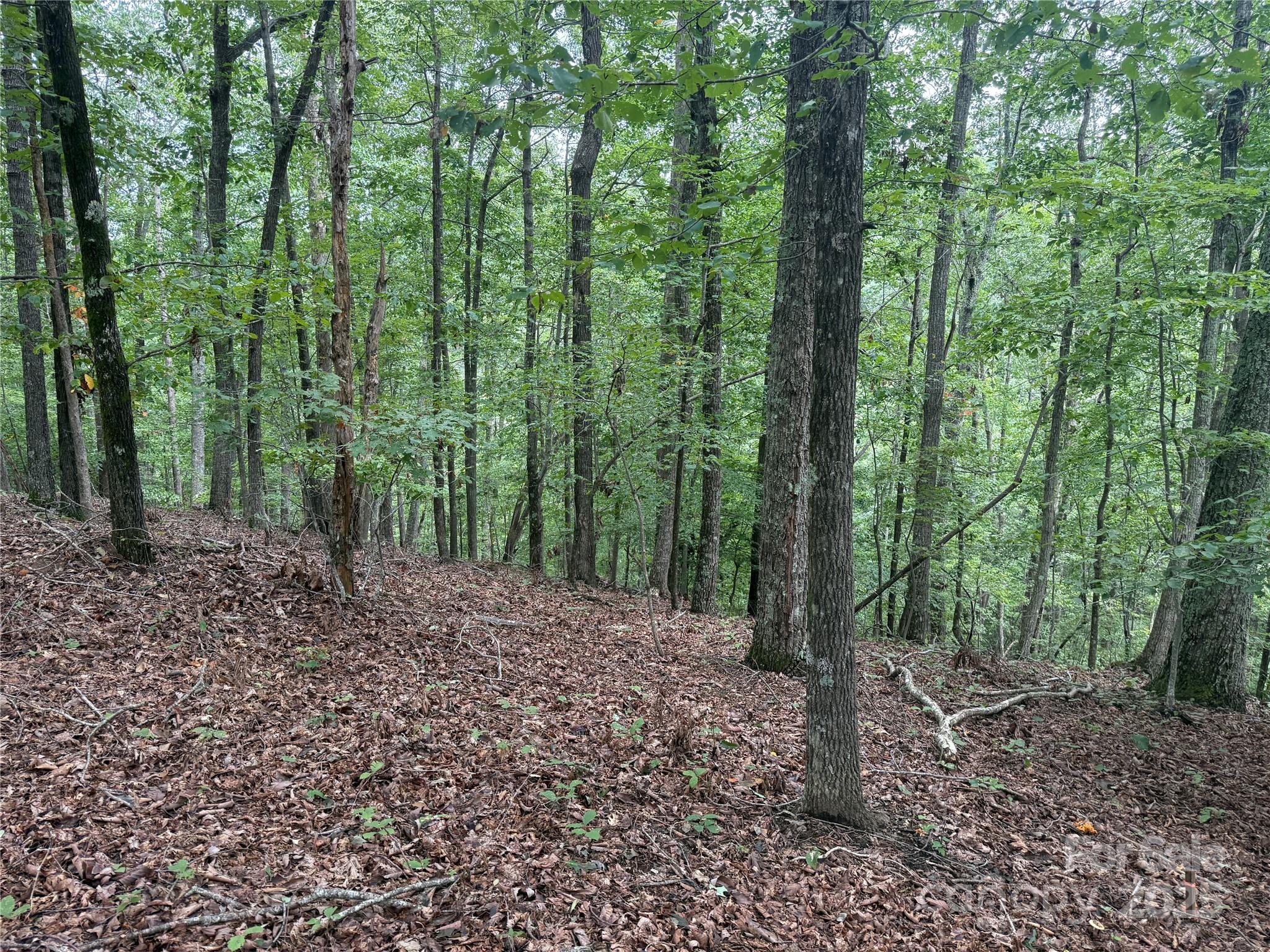 1187 Grandview Peaks Drive Nebo NC 28761