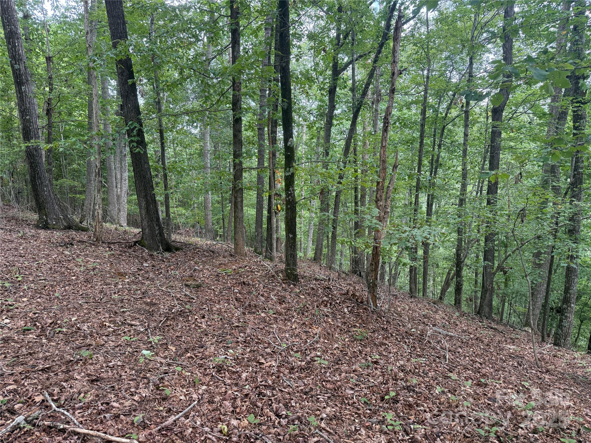 1187 Grandview Peaks Drive Nebo NC 28761