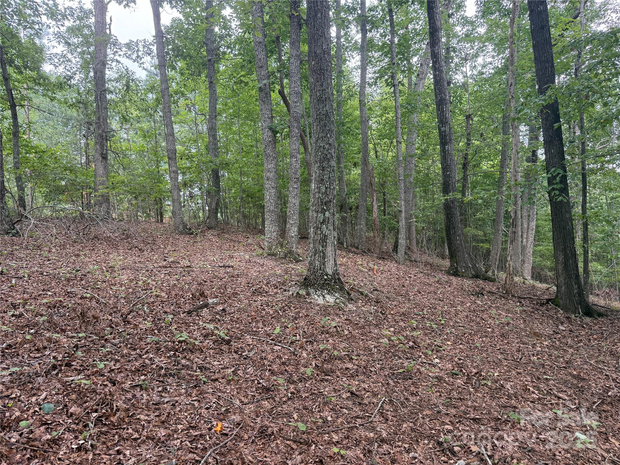 1187 Grandview Peaks Drive Nebo NC 28761