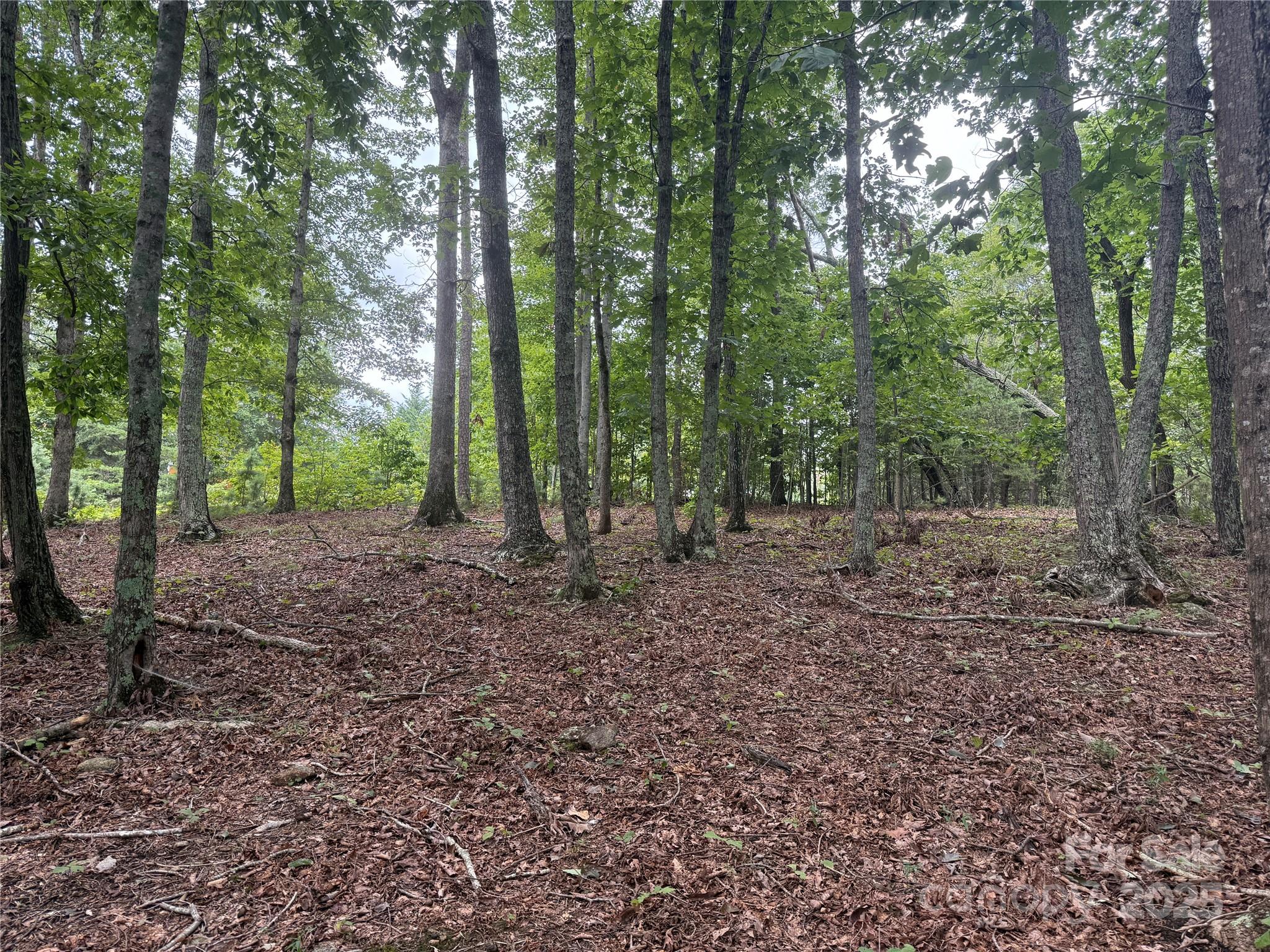 1187 Grandview Peaks Drive Nebo NC 28761
