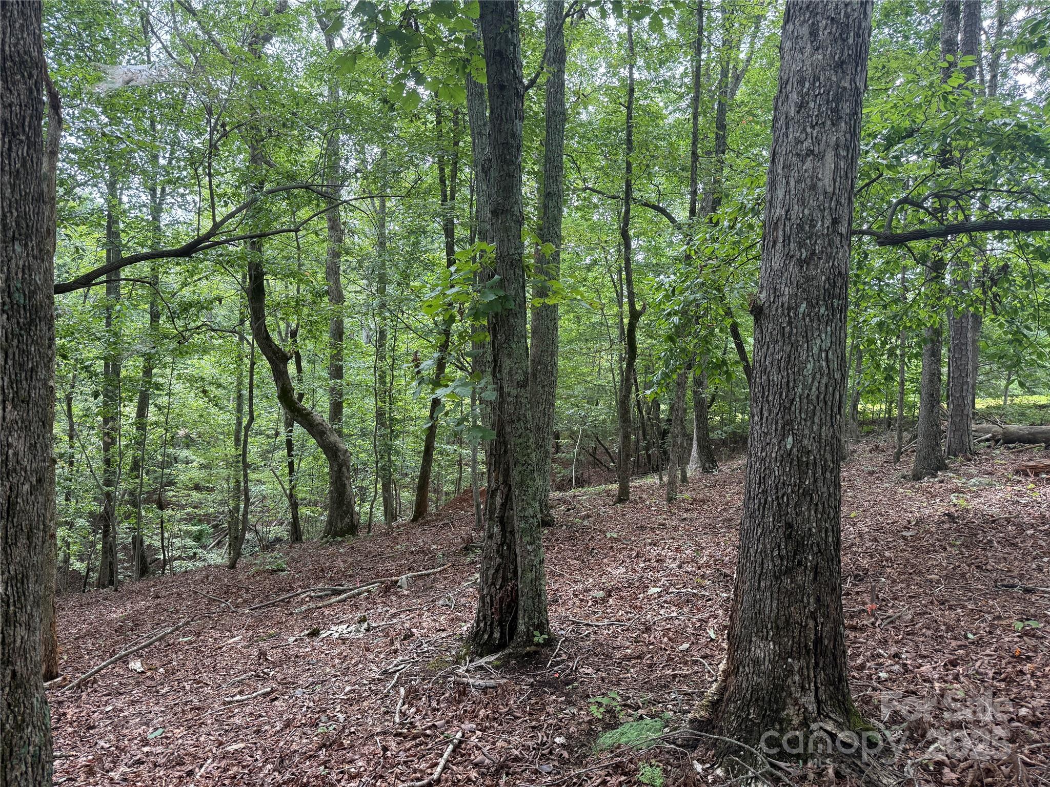 1187 Grandview Peaks Drive Nebo NC 28761