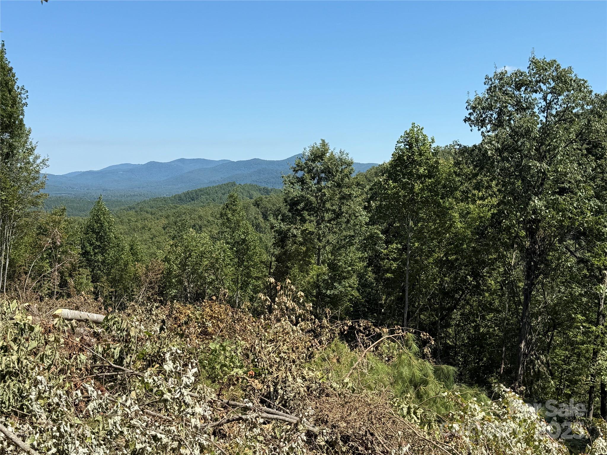 1187 Grandview Peaks Drive Nebo NC 28761