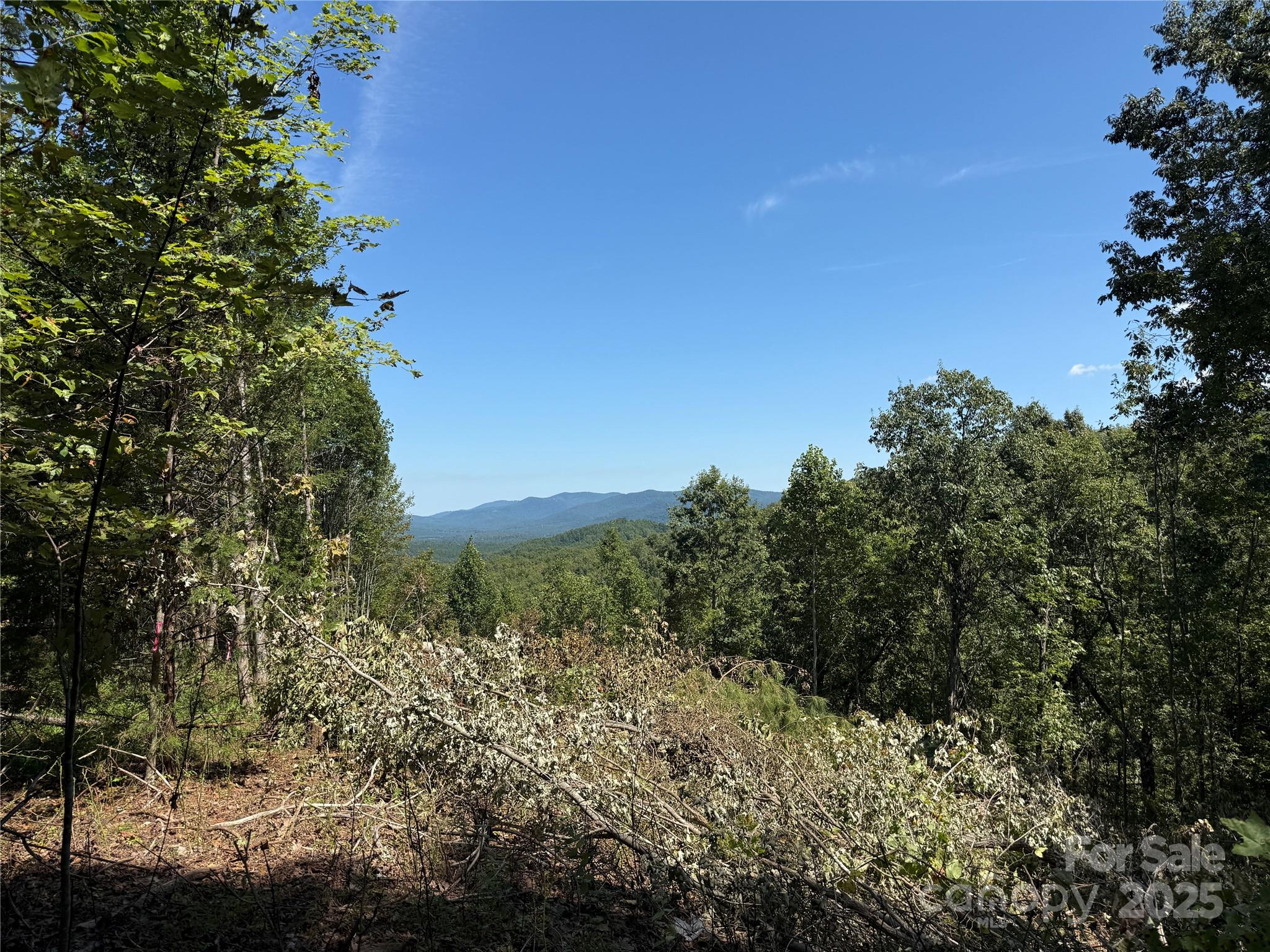1187 Grandview Peaks Drive Nebo NC 28761