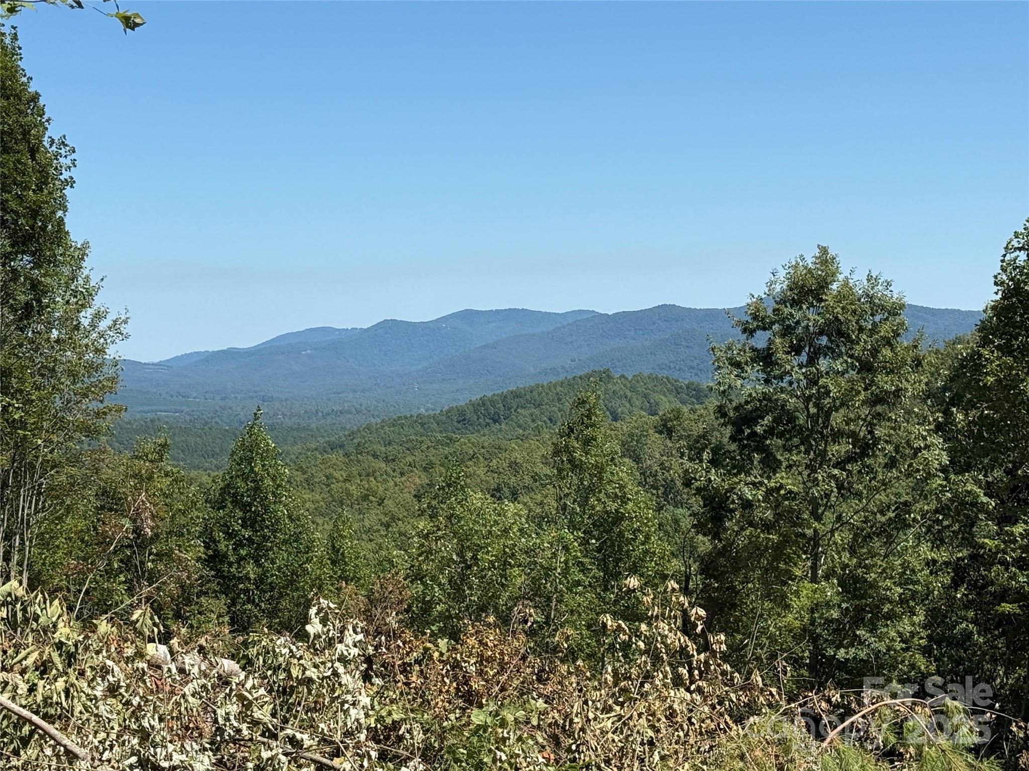 1187 Grandview Peaks Drive Nebo NC 28761