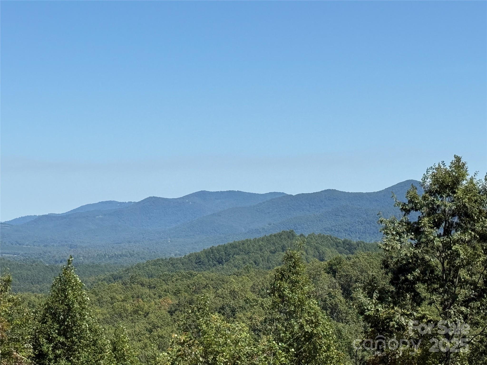 1187 Grandview Peaks Drive Nebo NC 28761
