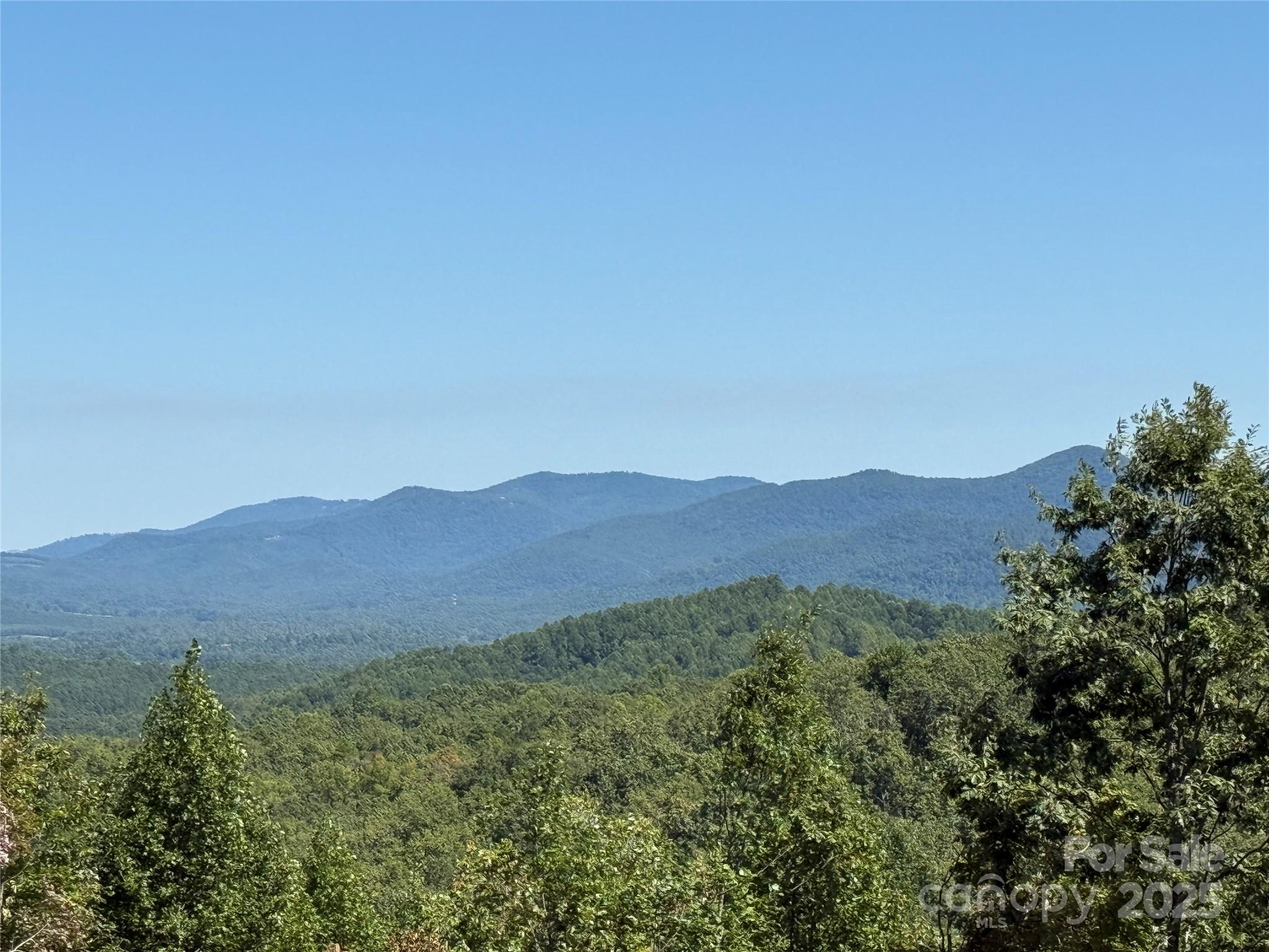 1187 Grandview Peaks Drive Nebo NC 28761