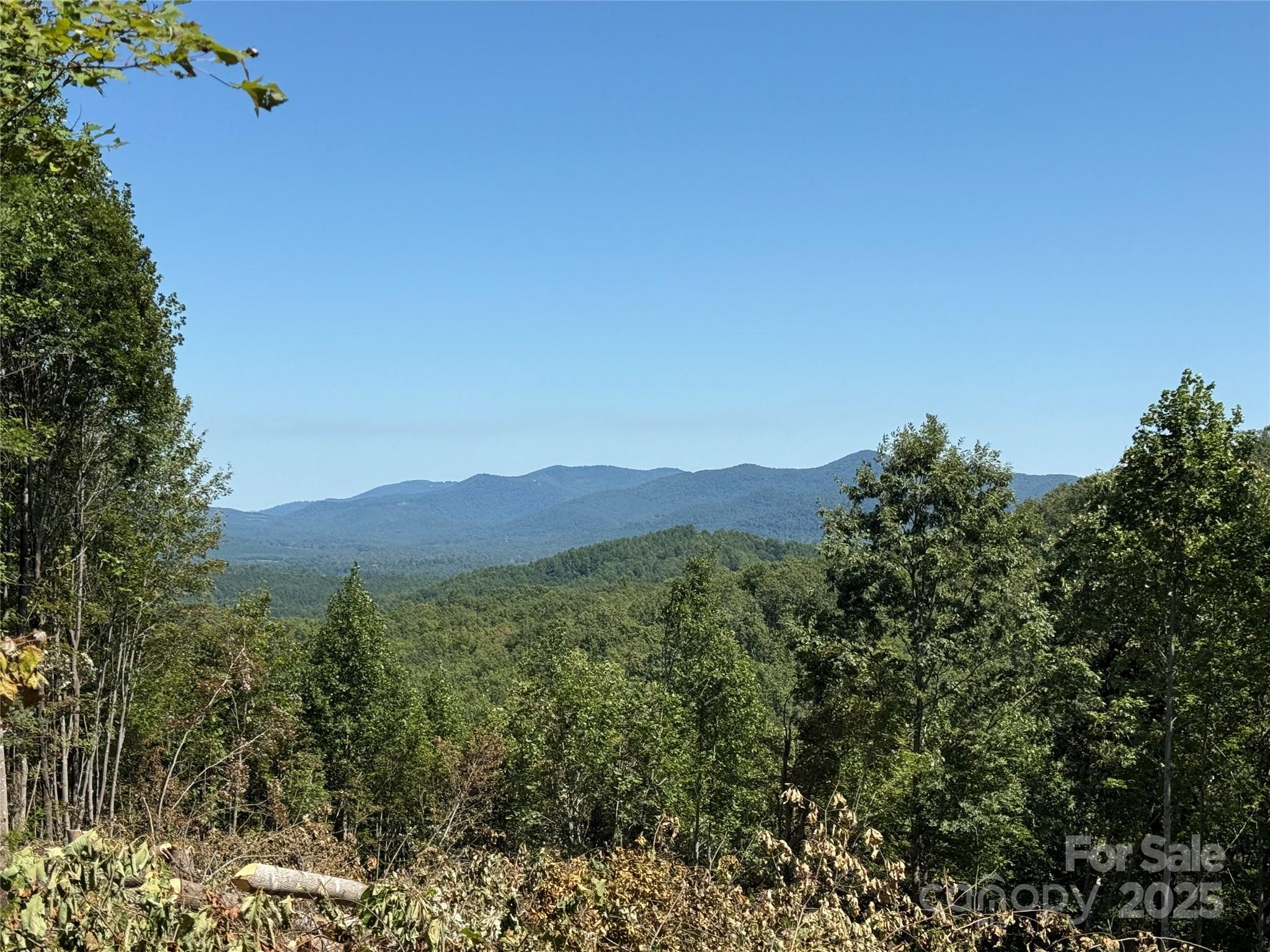 1187 Grandview Peaks Drive Nebo NC 28761
