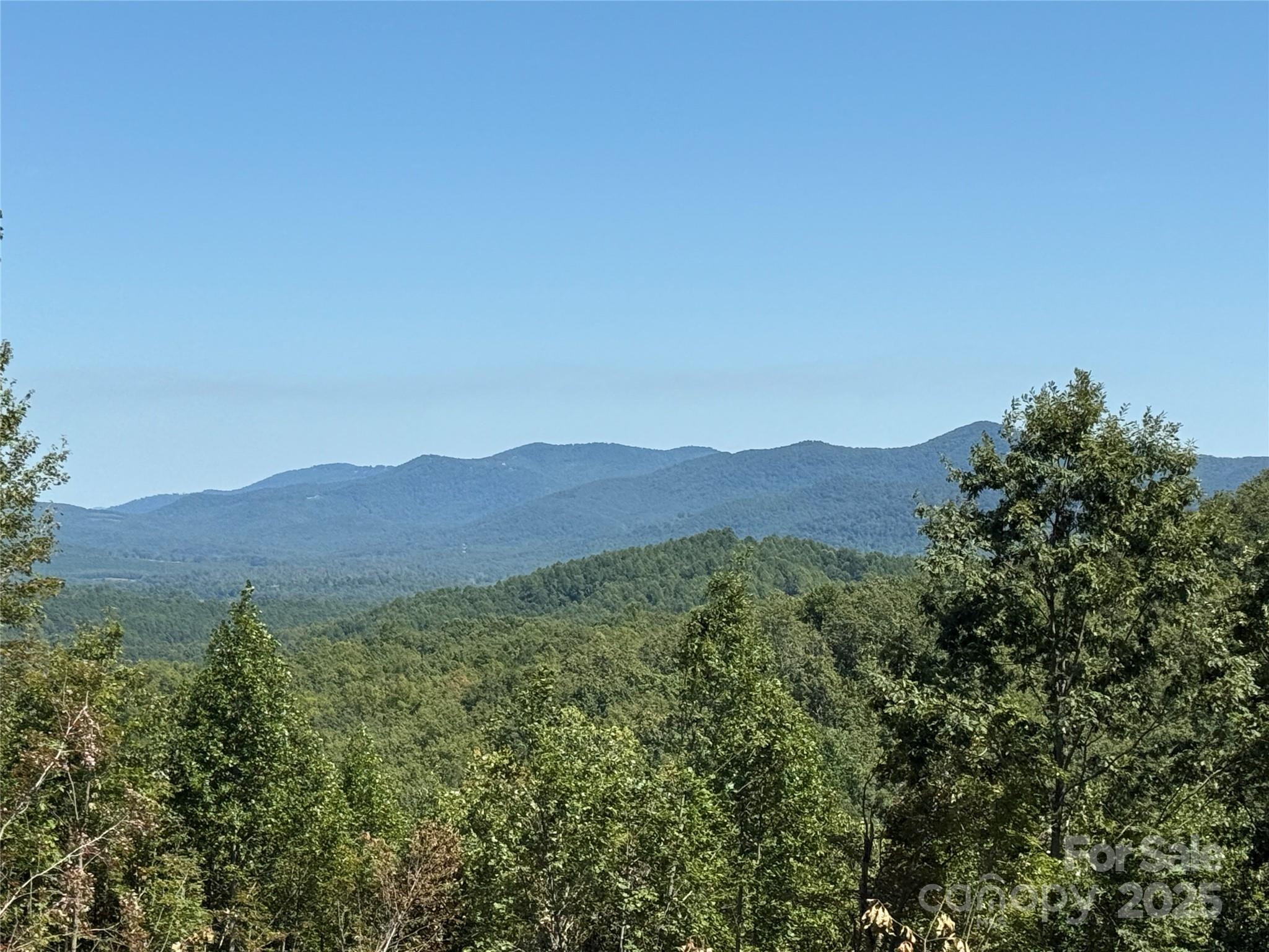 1187 Grandview Peaks Drive Nebo NC 28761
