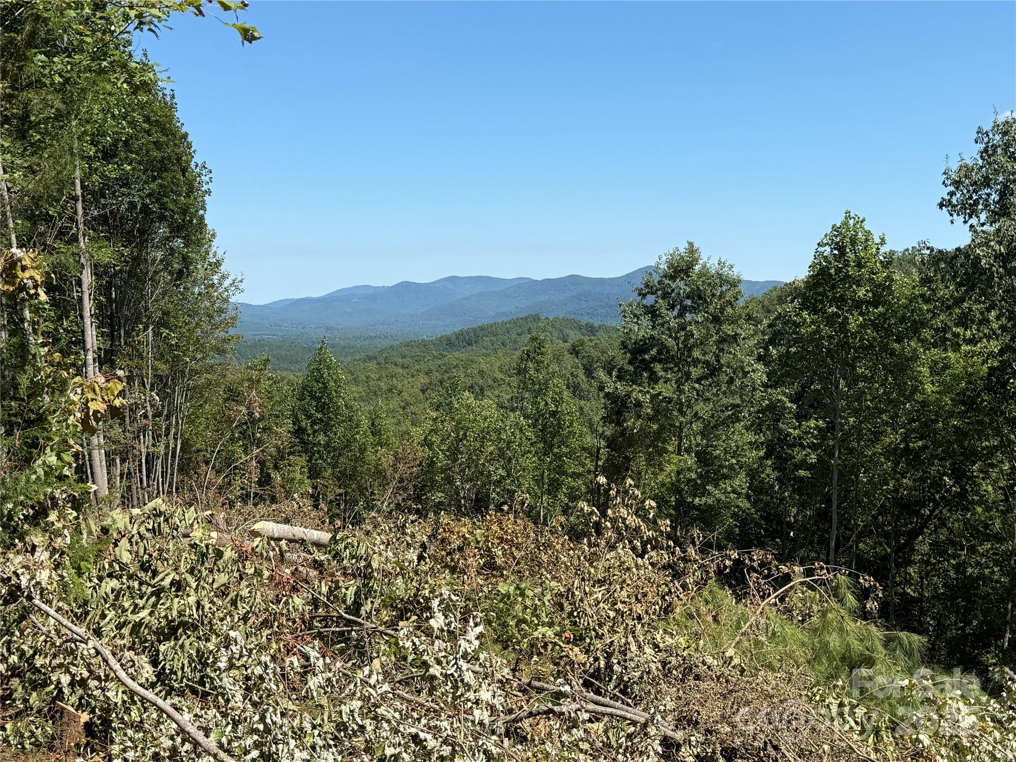 1187 Grandview Peaks Drive Nebo NC 28761