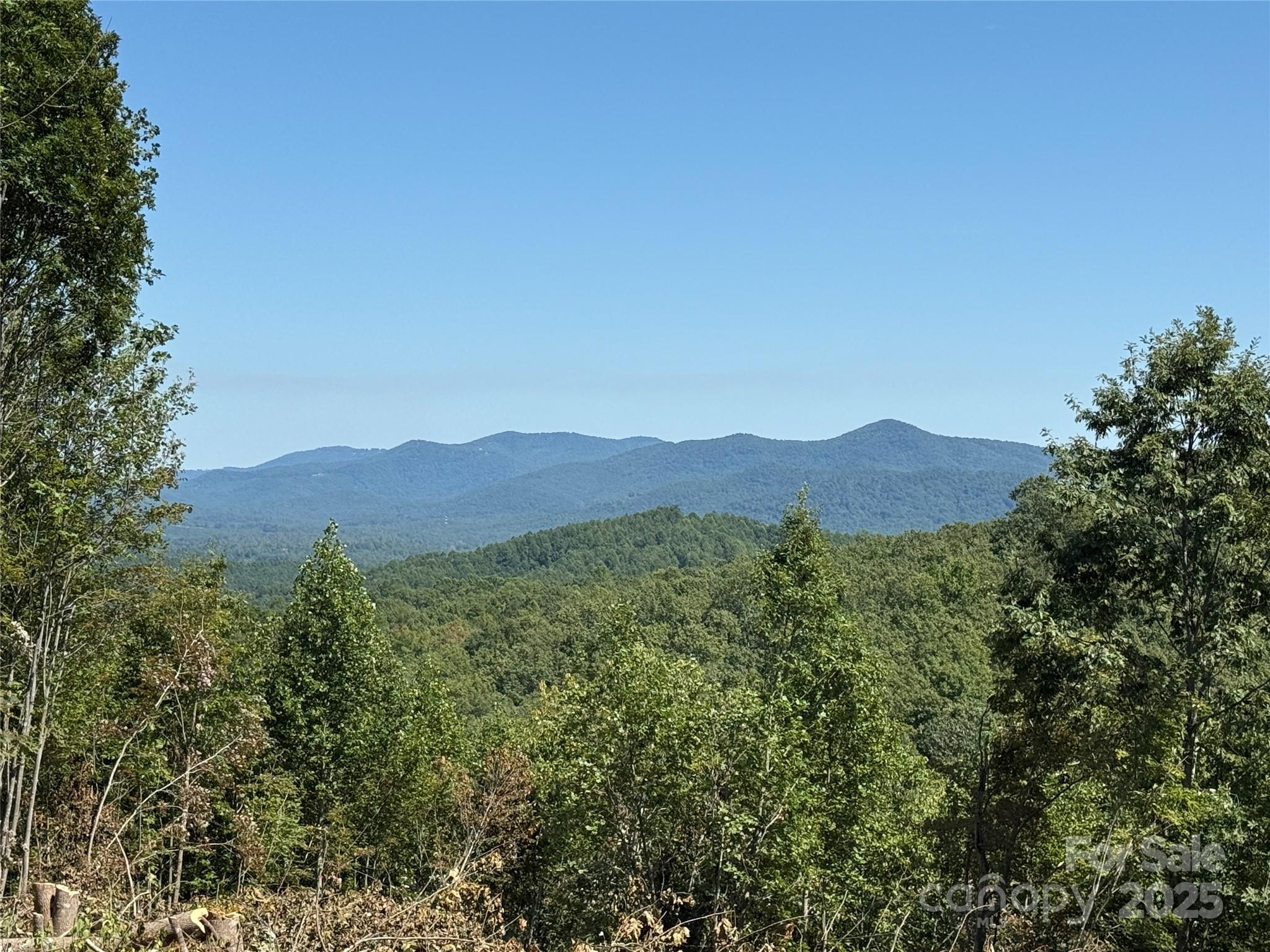 1187 Grandview Peaks Drive Nebo NC 28761