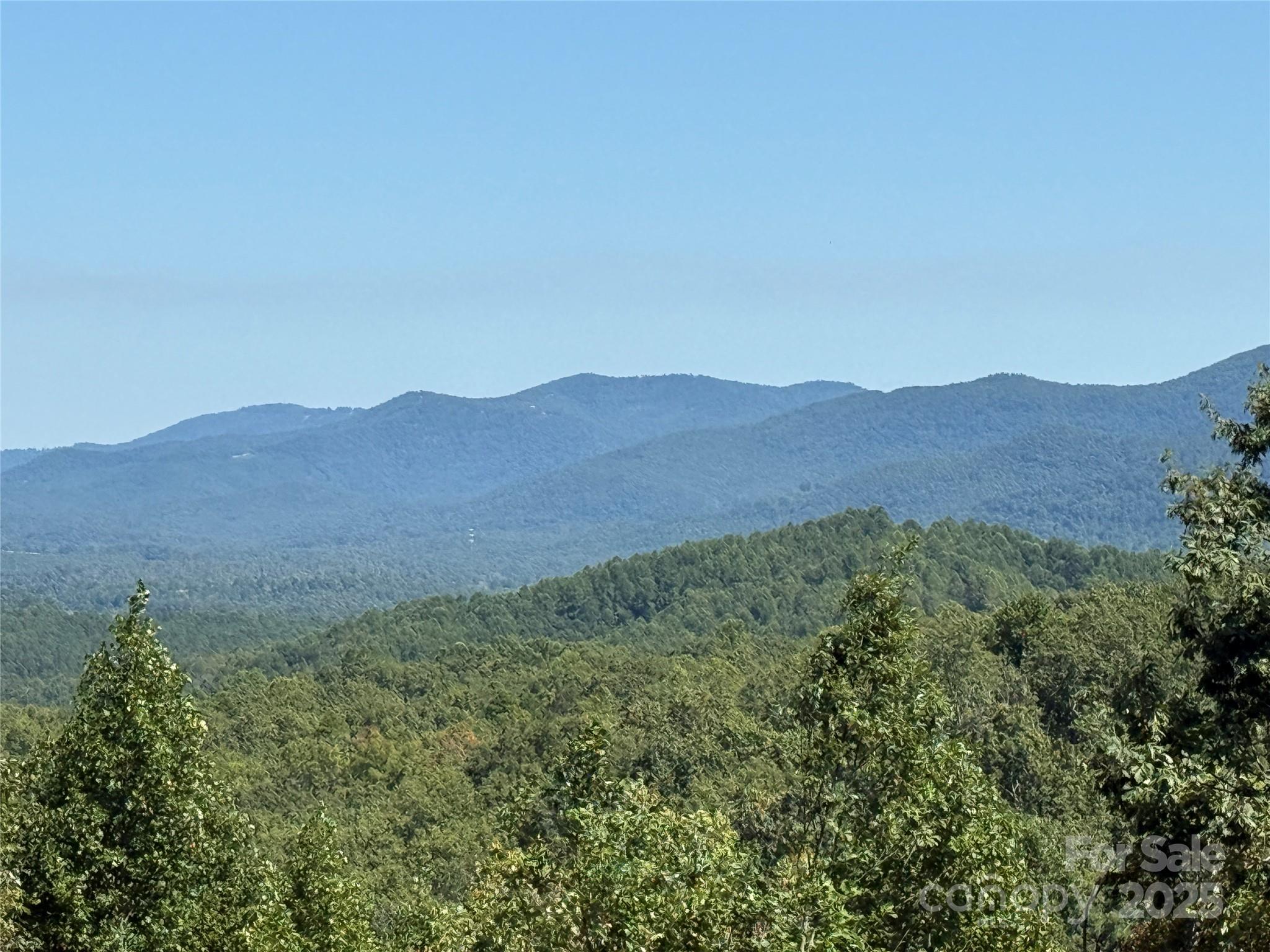 1187 Grandview Peaks Drive Nebo NC 28761