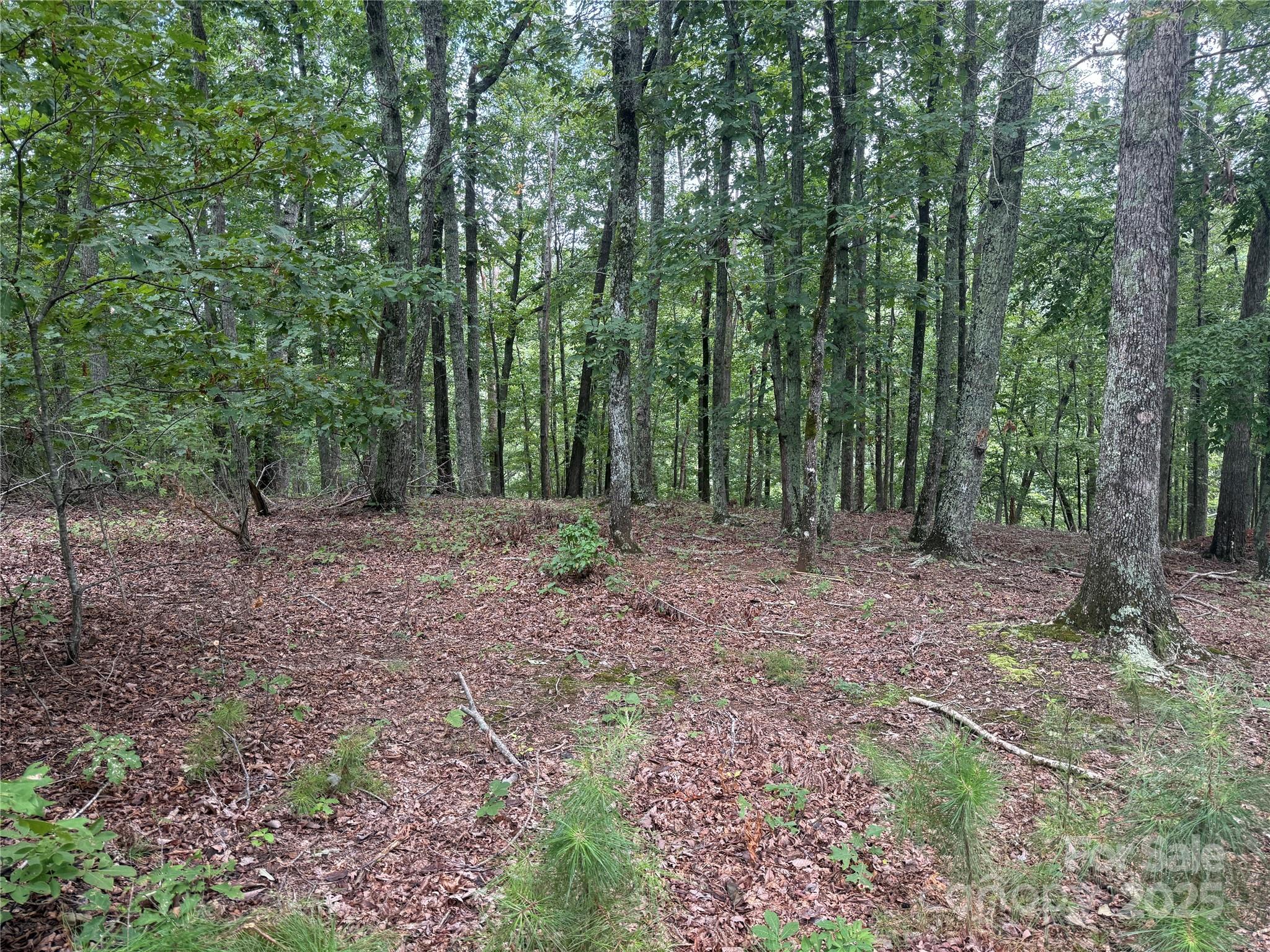 1187 Grandview Peaks Drive Nebo NC 28761