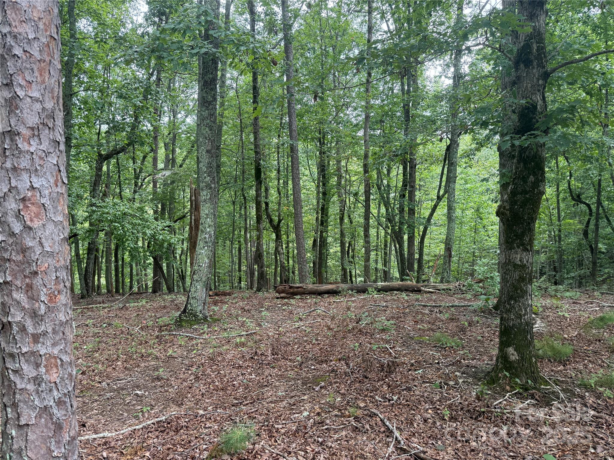 1187 Grandview Peaks Drive Nebo NC 28761