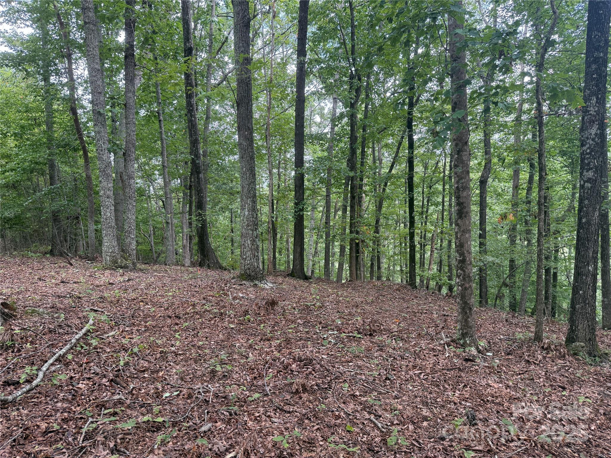 1187 Grandview Peaks Drive Nebo NC 28761