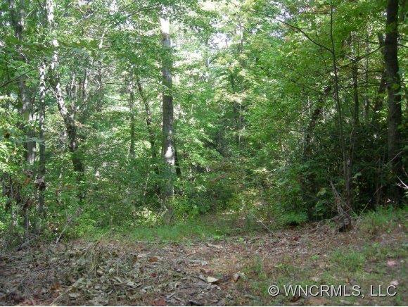 124 Deer Run Lane Asheville NC 28805
