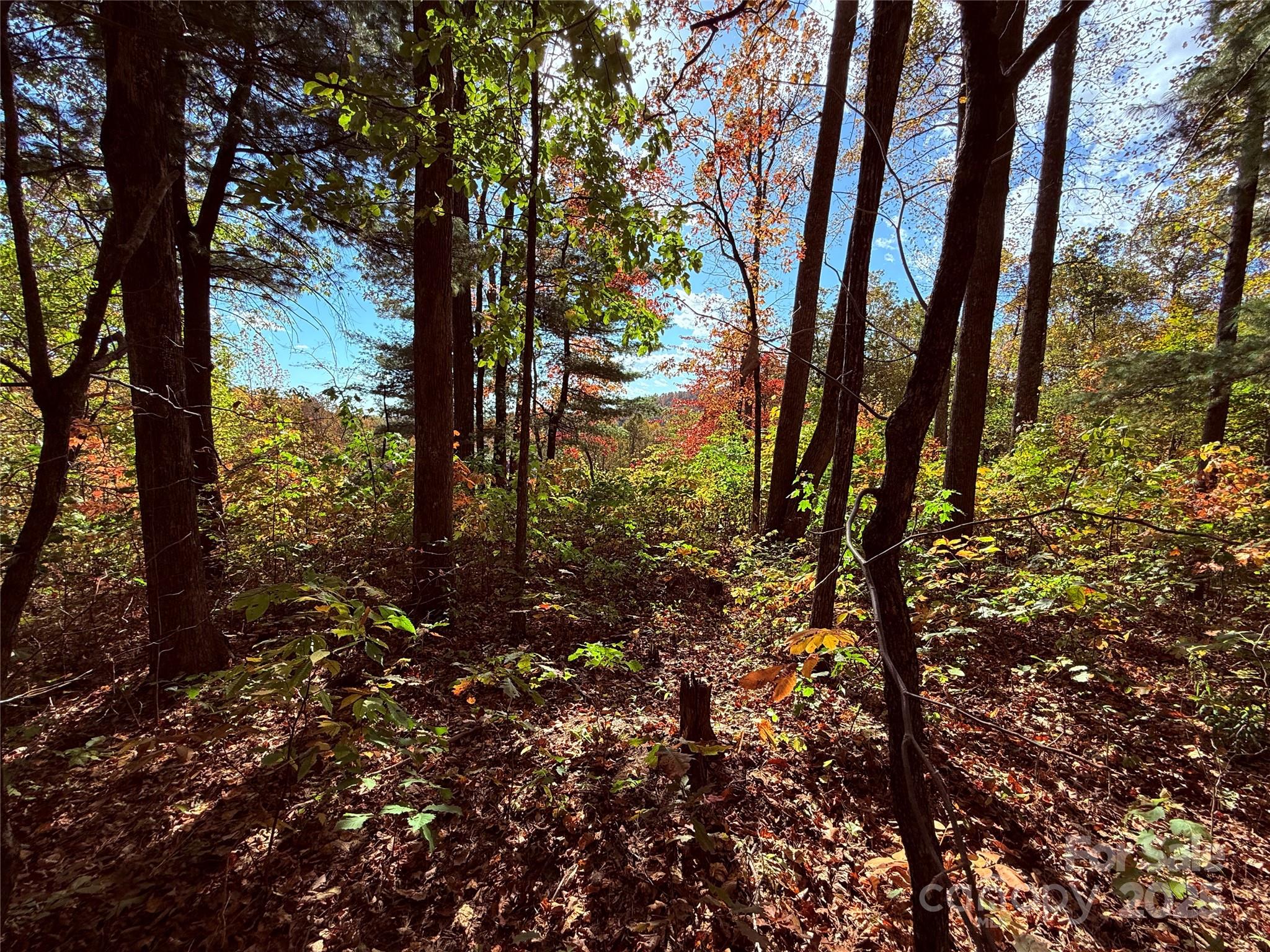312 Hollybrook Drive Flat Rock NC 28731