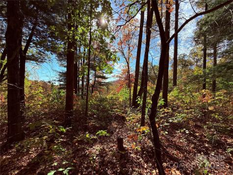 312 Hollybrook Drive Flat Rock NC 28731