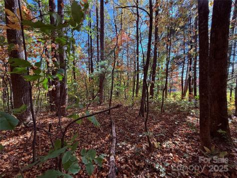 312 Hollybrook Drive Flat Rock NC 28731
