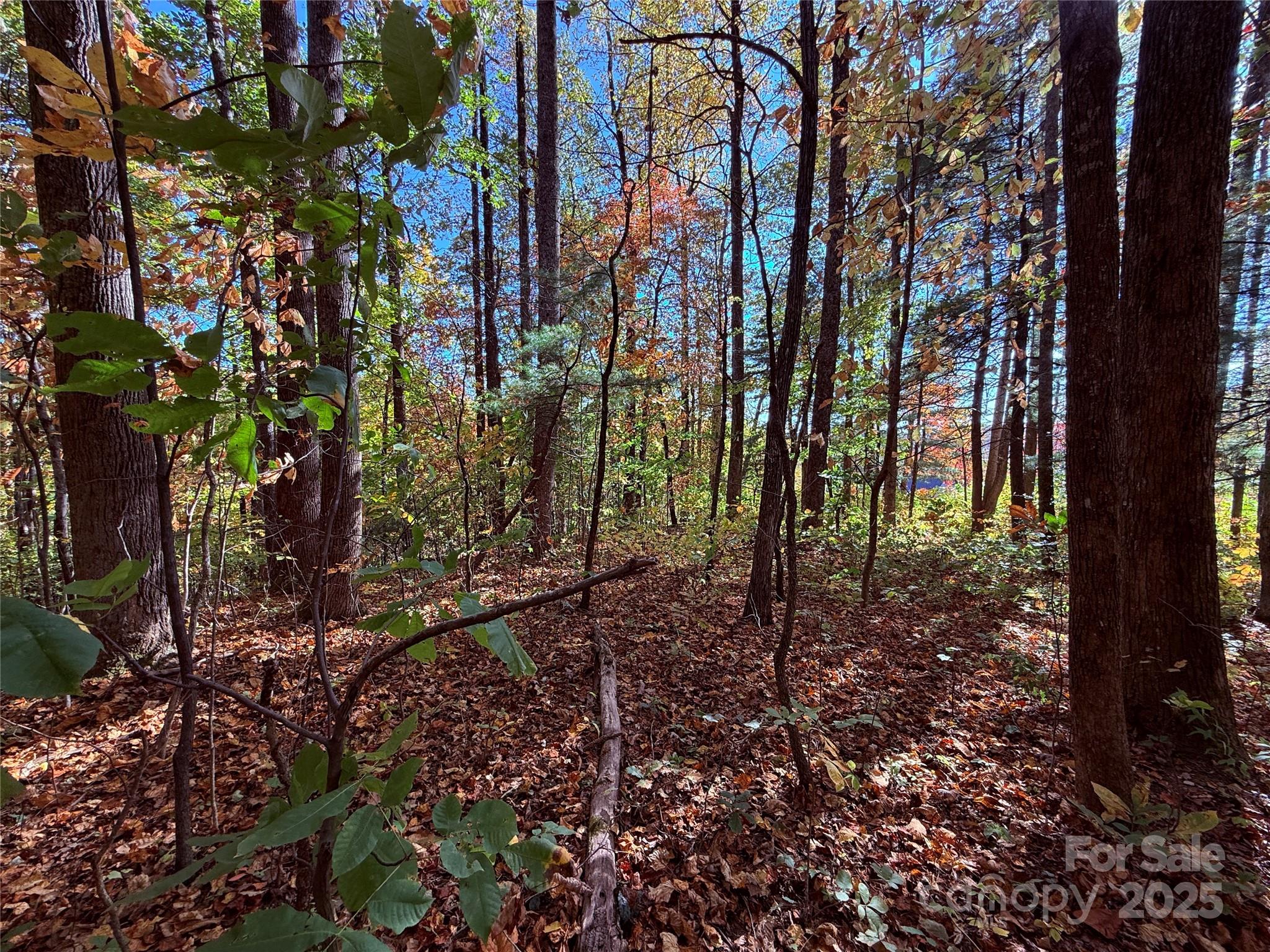 312 Hollybrook Drive Flat Rock NC 28731
