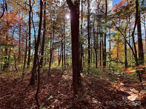 312 Hollybrook Drive Flat Rock NC 28731
