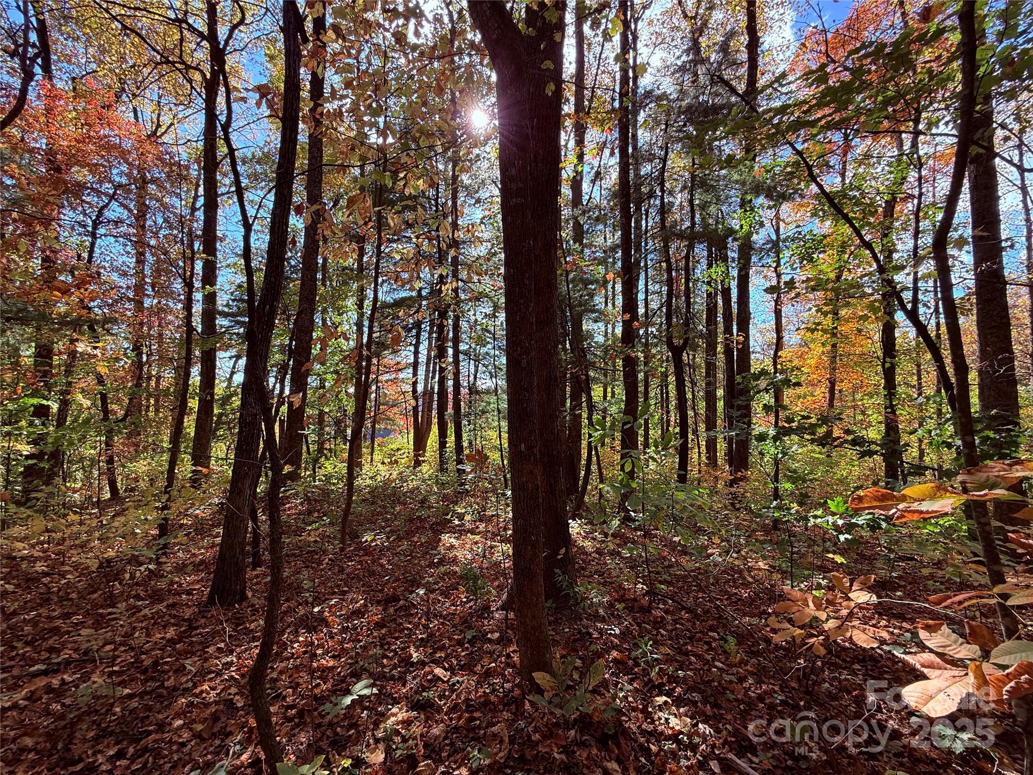 312 Hollybrook Drive Flat Rock NC 28731