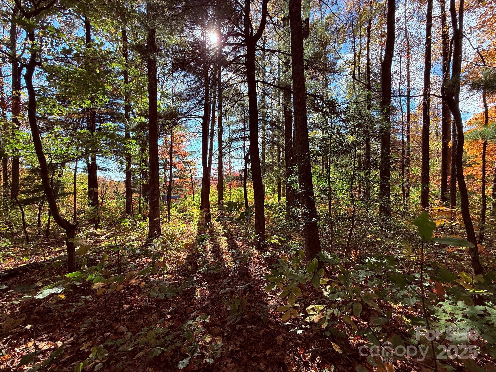 312 Hollybrook Drive Flat Rock NC 28731